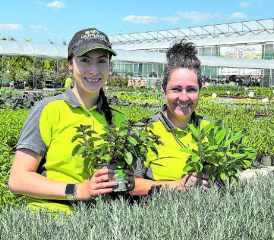 Die Mitarbeitenden von Huplant beraten kompetent, was wo geeignet ist. (Bilder: zVg.)