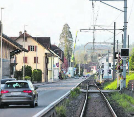 Dieser Anblick ist so nicht mehr möglich: Der schon von weit her sichtbare Mammutbaum in Birrwil steht nicht mehr.