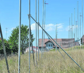 Stangenwald im Reinacher Sonnenberg: Die IG Vision Reinach ist nicht grundsätzlich gegen die ungebremste Bautätigkeit in der Region, vielmehr setzt sie sich für eine nachhaltigere Bauweise ein. (Bild: Dieter Obrist)