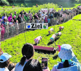 Das Säulirennen war das Highlight des Liebegger Tags. (Bilder: sah.)