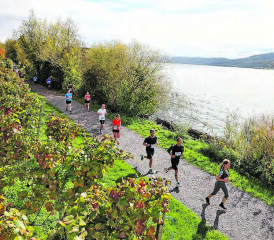 Zur 50. Austragung des Hallwilerseelaufs werden rund 10’000 Laufbegeisterte erwartet. (Bild: zVg.)