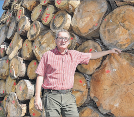 Die Bäume und die Natur sind durch Trockenheit geschwächt: Gemeindeförster Urs Wunderlin vor dem (leider) imposanten Holzlager in der Hinterfeldgrube. (Bild: P.Te.)