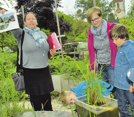 Am Weiher gab es ebenfalls viel zu entdecken: Mio Cattaneo zeigt dazu das Bild eines «perfekten» Gartens, der jedoch kaum Lebewesen bewirten dürfte.