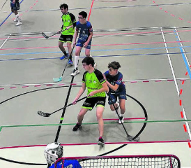 An der zweiten Meisterschaftsrunde mussten die U21 Junioren von Lok Reinach zwei Niederlagen hinnehmen. (Bild: Silvia Junker)