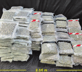 116 Kilogramm Marihuana: Versteckt hinter einer doppeltenWand des Anhängers eines Reisecars. (Bild: pz.)