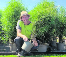 Unser Federbäumchen aus eigener Bio-Produktion ist die perfekte Heckenpflanze für deinen Garten oder für deine Terrasse. Im Bild unser Mitarbeiter Marc Waser. (Bild: zVg.)