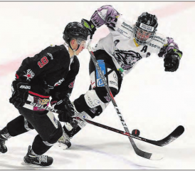 Schoss den Reinacher Ehrentreffer: Thomas Fehlmann (am Puck) im Duell gegen Nick Hartmann (l.). (Bild: Otto Lüscher)