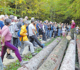 Informationen aus erster Hand: Förster Peter Gautschi erklärt, warum ihm die tiefen Holzpreise Sorge bereiten. (Bilder: moha.)