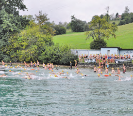 Die 50. Austragung des Hallwilerseeschwimmens: Bei 13 Grad Lufttemperatur und einem 22 Grad warmen See gingen in der Badi Birrwil 228 Schwimmer an den Start. (Bilder: pb.)