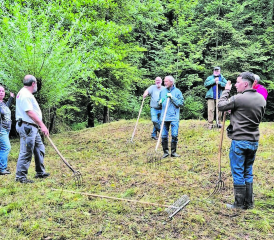 Arbeitseinsatz des NVV Oberkulm: Mit vereinten Kräften wurde das gemähte Gras am Maurtalweiher und Semmlenweiher zusammengetragen. (Bild: zVg)