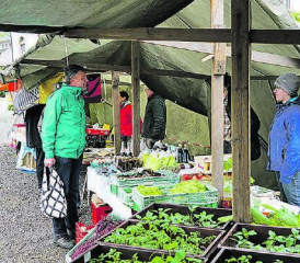 Impression aus vergangenen Zeiten: Am Birrwiler Märt gibt es frisches Gemüse, Setzlinge und freundliche Begegnungen. (Bild: zVg.)