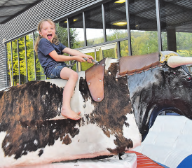 Noch kann sie lachen: Der Bulle gab sich anfangs sanft, fast wie ein zahmes Hündchen… (Bilder: st.)