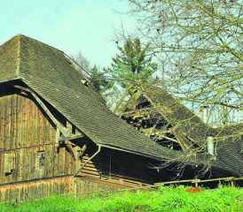 Einst der Stolz der Schlossbauernfamilien: Heute klafft eine grosse Lücke mitten im Dach der Schlossscheune. (Bilder: st.)