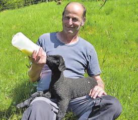 Wenige Tage alt: Das schwarze Lämmchen bekommt von René Marti den Schoppen. (Bild: aw.)