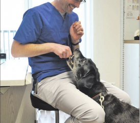 Ein Gudeli zur rechten Zeit lässt Tierarzt und Labradordame Miri Freunde werden.