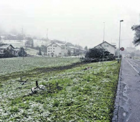 Baumgarten gefällt: Am südlichen Ende von Pffeffikon wird der «Gräbacherpark» gebaut. (Bild: mars.)