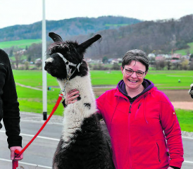 Im Reinacher Lenz: Reto und Helen Eichenberger mit ihren Lamas Zorro und Ueli. (Bild: dr.)