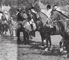 Rund 650 Starts vermittelten schönen Pferdesport: Das in der Abendsonne von hinten «aufgerollte» Feld startet zum Preis der Pferdefreunde Wynental vom Freitagabend. (Bild: bst.)