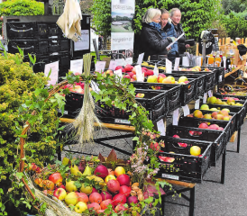 Äpfel, wohin das Auge reicht: Die zum Teil auch alten Sorten waren übersichtlich beschriftet. (Bilder: st.)