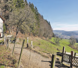Mit dem Neubau der Sanierungsleitung «Tüelen» werden drei Liegenschaften (Parz 692, 1277 und 1825), die sich ausserhalb des Baugebietes befinden, an das Abwassernetz der Gemeinde Unterkulm angeschlossen. (Bild: zVg.)
