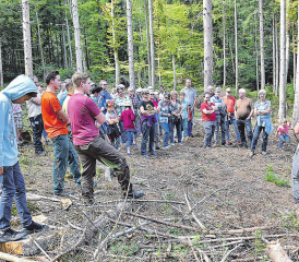 Abseits der Wegstrecke: Forstbetriebsleiter Markus Steiner führt die Waldreisenden zu mehreren vom Sturm geschädigten Waldflächen. (Bild: aw.)