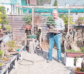 Bonsai-Otto in seinem Arboretum, der Bonsai-Baumschule. (Bild: zVg.)