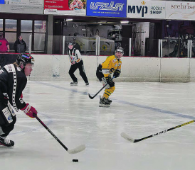 Sven Wyss erzielte den zweiten Treffer für die Red Lions, konnte aber die Heimniederlage auch nicht verhindern. (Bild: Roland Jaus)
