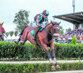 Reitsport hautnah erleben: am 8. September finden in Aarau der 76. Grosser Preis der Schweiz und der 16. Herbst Grand Prix Kanton Aargau statt. (Bild: zVg.)