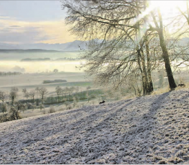Das Kalenderbild für Januar 2020 zeigt die wunderschöne Landschaft im Michelsamt. (Bild: Ruedi Bättig/zVg.)