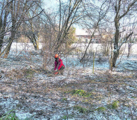 Die Rodungsarbeiten für das Aufwertungsprojekt haben mittlerweile begonnen. (Bild: Heinz Urben)