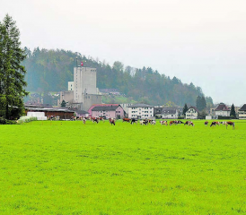 Resultate werden im Frühsommer 2021 erwartet: Der Bericht der Zürcher Denkmalwerkstatt hat Einfluss auf laufende Einwendungen und schliesslich auf das weitere Vorgehen im Hegmatte- und Mühleareal. (Bild: rc.)