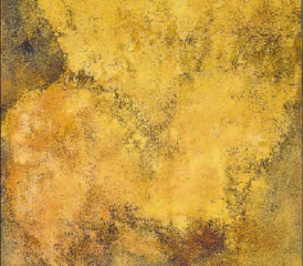 Die Ausstellung in der Galerie Schlössli dauert bis Ende Mai. (Bild: zVg.)