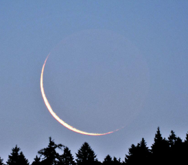 (Bild: Andreas Walker)