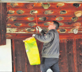 Res Brunner entfernt die alten Hüte, die als Schwalbennester zum Einsatz kamen und bei den Vögeln sehr beliebt waren.