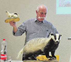 Referent Rolf Suter: Ins Zentrum seines interessanten Vortrages stellte er den Meister Grimbart, also den Dachs. (Bilder: zVg.)