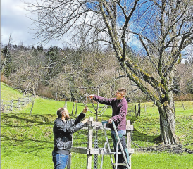 Einsatz für die Natur: Marco Häusermann pflegte mit seiner Gruppe die in den letzten Jahren gepflanzten Hochstammobstbäume. (Bild: zVg)