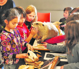 «Ist der echt?» − Die teilnehmenden Kinder am TaB-Familienanlass «Der Natur auf der Spur» hatten viele Fragen. (Bild: rc.)
