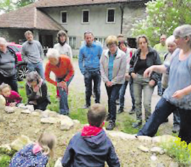 Nistplatz im Sandhügel: Die Exkursion im Schaugarten bot viel Spannendes zum Thema Wildbienen. (Bild: zVg.)