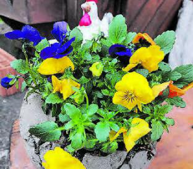 Kunterbunter Frühlingsmarkt: Am kommenden Samstag auf dem Marktplatz in Reinach. (Bild: zVg.)