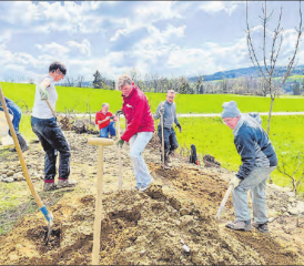 Gemeinsam für die Insektenwelt. Mitglieder des WWF Zürich, dem Naturschutzverein Menziken-Burg, Jonas Wassmann Gartenbau aus Burg und der Familie Weber bauen beim Trolerhof eine Sandlinse. (Bild: zVg.)