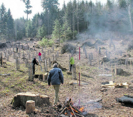 Baumpflanzaktion von Natur- und Vogelschutzverein Oberkulm und Forstamt: Im Gebiet Beidel entstand der Jahrgangswald für die 38 Kinder, welche 2020 geboren wurden. (Bild: zVg.)