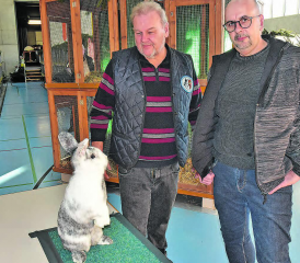 Der Schöftler Thomas Buchschacher (r.) schätzt seine friedliebenden Kaninchen der Rasse «Röhn», links Präsident und Organisator der 15. Kleintierschau, Markus Rey, Reitnau. (Bilder: aw.)