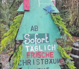 Weihnachtsbäume frisch gehauen: Bei Werffeli Gartenbau im Gontenschwiler Feld. (Bild: zVg.)