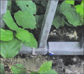 Hier hing einmal ein Plakat: Übrig geblieben ist nur ein Kabelbinder.