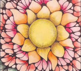 Eindrucksvolle Kraftbilder: Elvira Schmed zeigt ihre Werke in der Schürmatt Zetzwil. (Bild: zVg.)