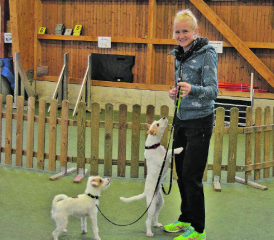 Die Dogcross-Begründerin und Turnier-Organisatorin, Ursula Känel Kocher, mit ihren Hunden «Pistache» und «Soleil». Im Hundesportzentrum «Sporty-Dogs» werden seit sieben Jahren Dogcross-Stunden angeboten. Die Nachfrage ist gross. (Bild: zVg.)
