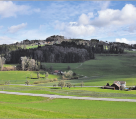 Auf dem Stierenberg sollen laut Richtplan des Kantons Luzern drei Windräder gebaut werden. (Bild: Martin Sommerhalder)