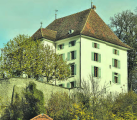Aus der ganzen Welt ist dies jetzt möglich: Ein Blick auf das Schloss Rued, dank neu installierter Webcam, unter www.schlossrued.ch. (Bild: st.)