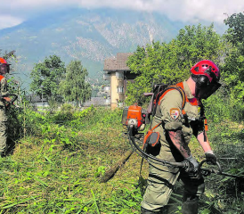 Die Kadermitglieder freuten sich, wieder einmal selbst im Feldeinsatz zu stehen. (Bild: zVg.)