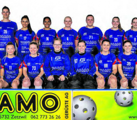 Das Damenteam des UHC Lok Reinach startete erfolgreich in die neue Saison. (Bild: zVg.)